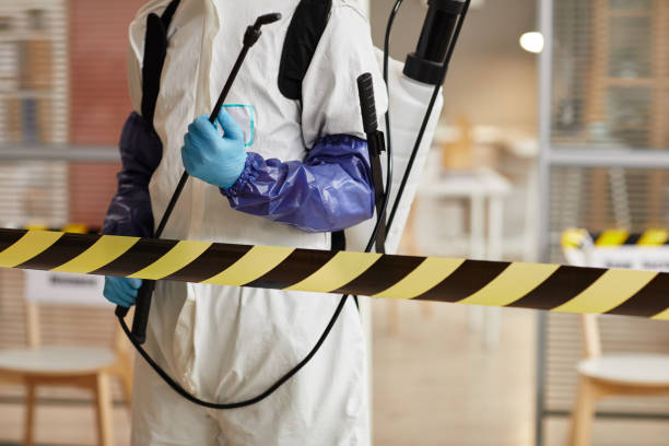 Professional Sewage Cleanup technician working in Pflugerville, TX